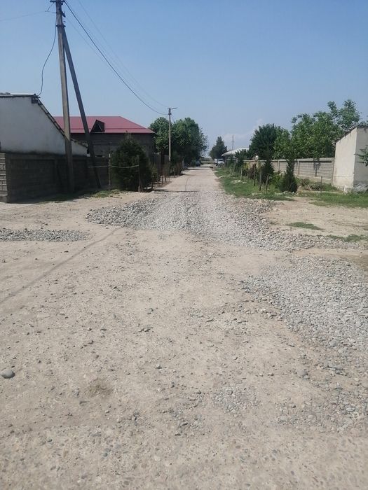 Sirdaryo tumani. Sholikor MFY. Maktab yonida.