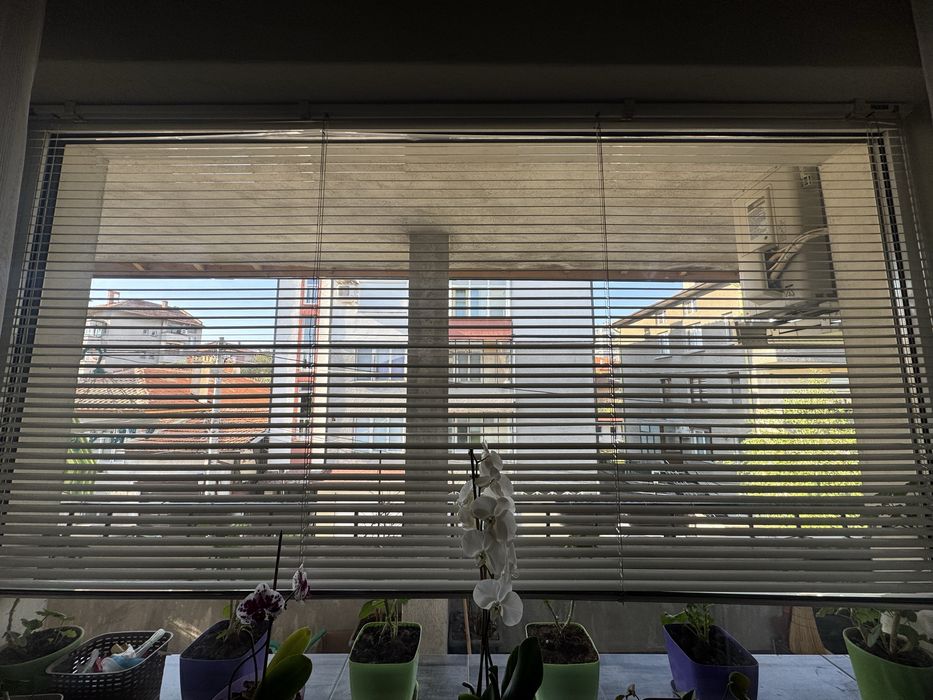 Голяма щора - запазена