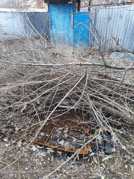 Отдам даром в г. Каскелен