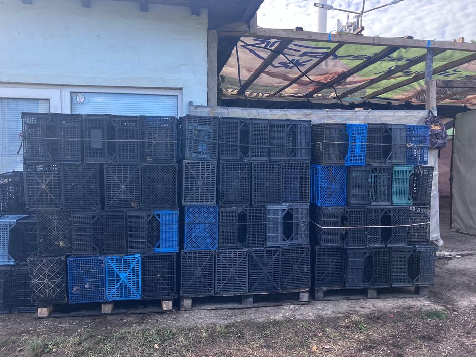 Касетки за плодове и зеленчуци