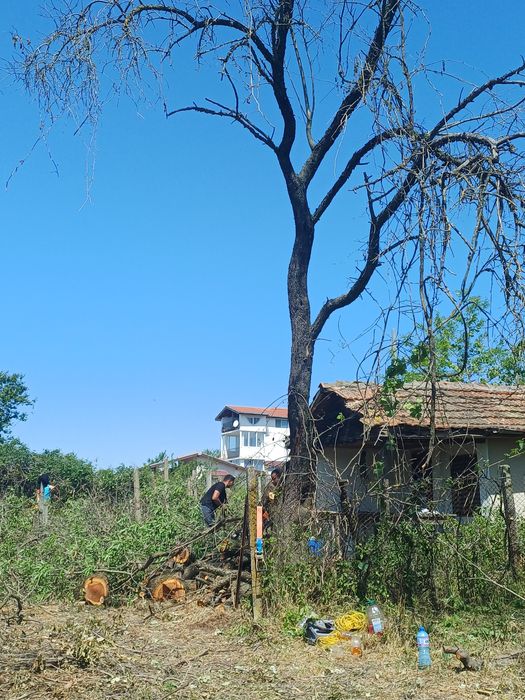 Косене на трева.Почистване на дворни места от храсти,дървета