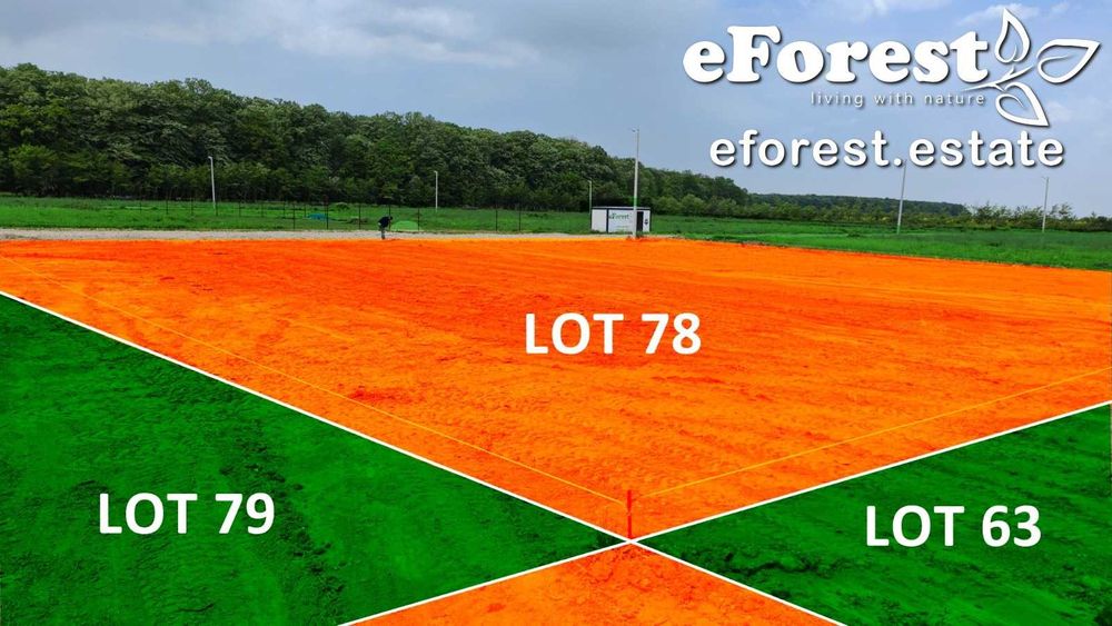 eForest, Loturi la lizieră cu pădurea, acces din DN1A, după Buftea