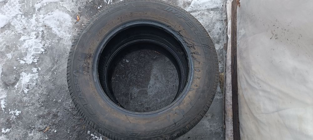 Летние шины отл. сост.