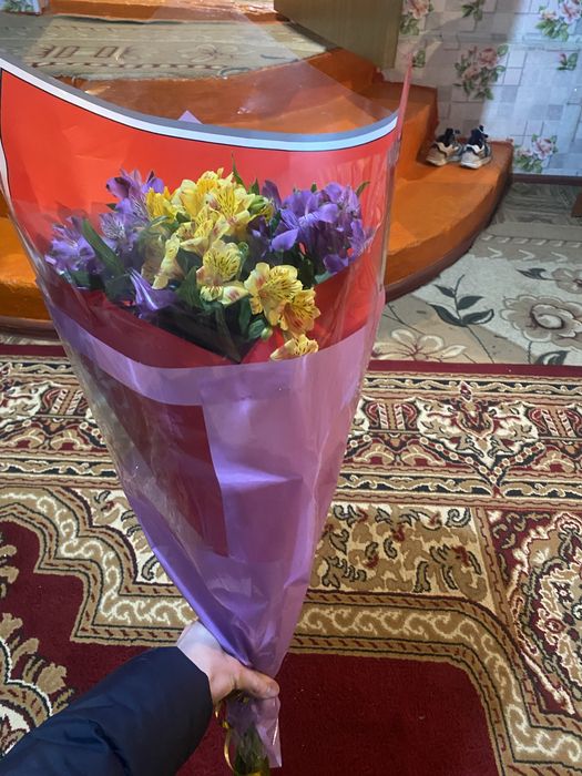 Свежый жаңадан келген