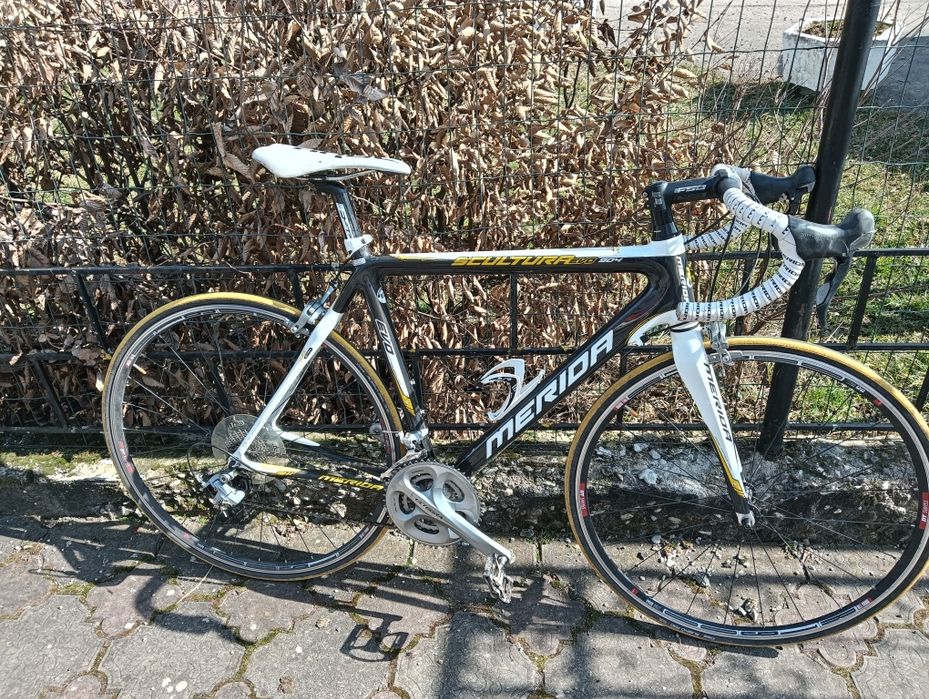 Cursieră Merida Scultura EVO 904