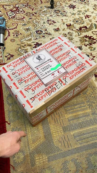 Инкубационные яйца Брама