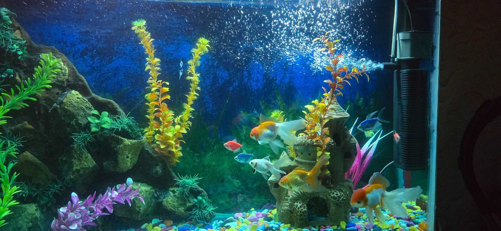 Аквариум 240 литр с тумбой+рыбой +доставка