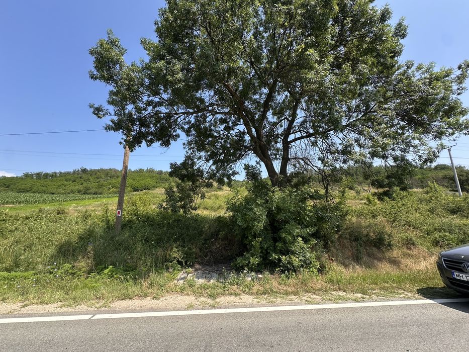 Teren intravilan 6.000 mp de vânzare – acces direct la DN67