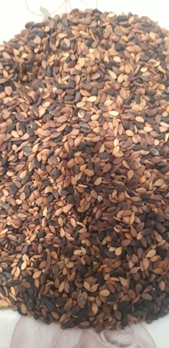 Qora kunjut, yaxshi sifatli