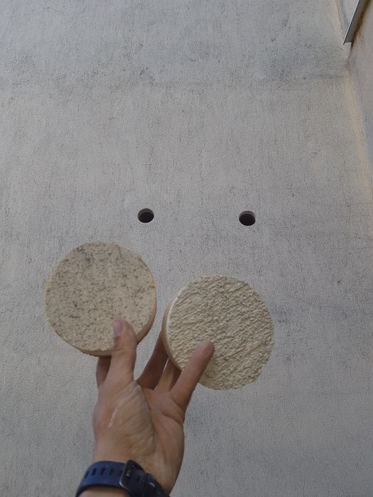 Gaura hota, gaura centrală, Lugoj