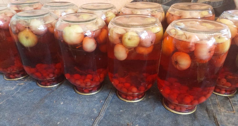 Домашний компот Үй компоты