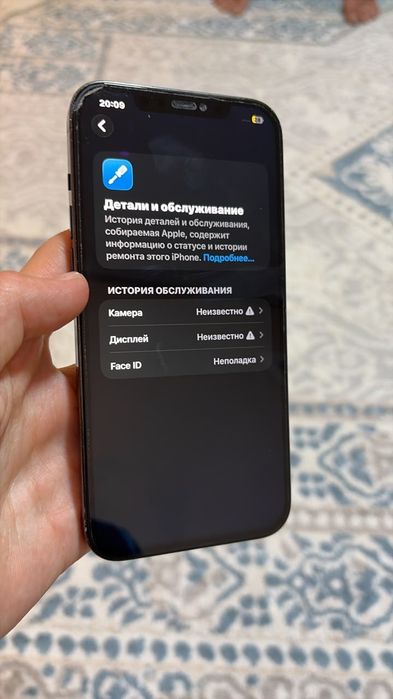 iPhone 12 Pro Max 256GB