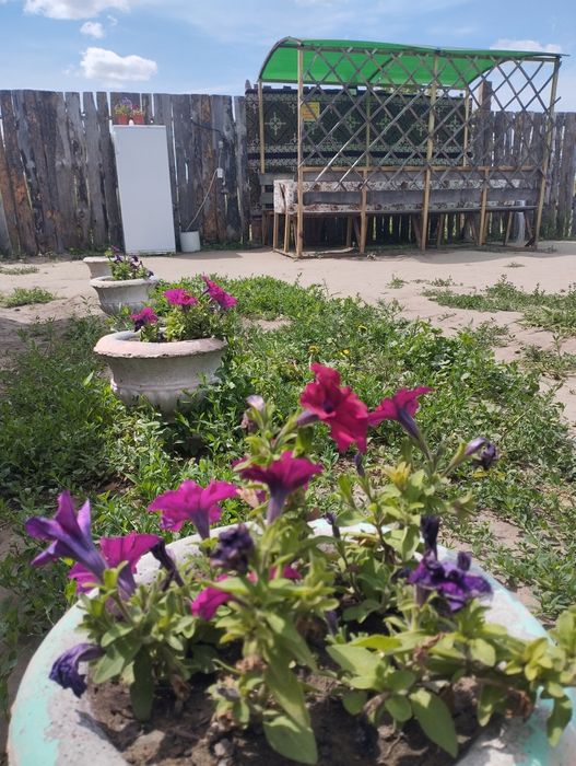 Дом посуточно  дача речка