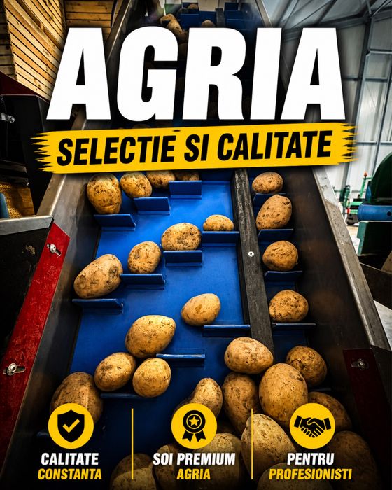 Cartofi AGRIA Premium 25 kg Big Bag Stoc Disponibil Horeca