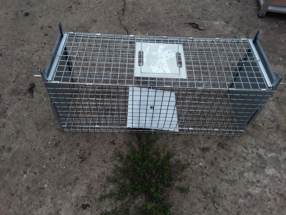 Capcana dihori sobolani vulpi