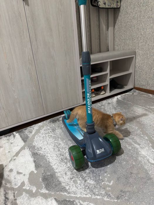 Продается велосипед
