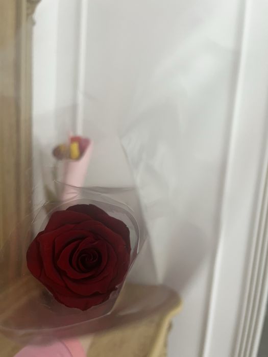 Метровая роза красная