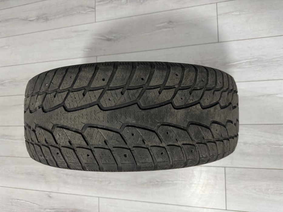 Шины зимние Ecovision