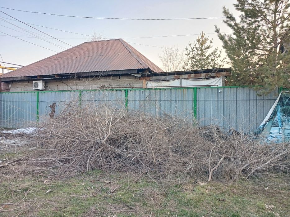 Отдам даром. Самовывоз.  Карагач.