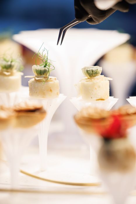 Canon RF 70-200 f2.8 L IS