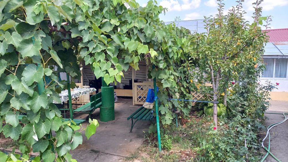 Gospodarie si teren intravilan 2550 mp. Com. Munteni-Buzau, IL .