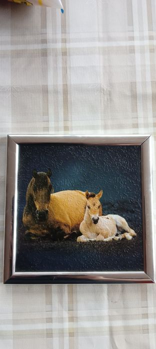 Картини с коне...