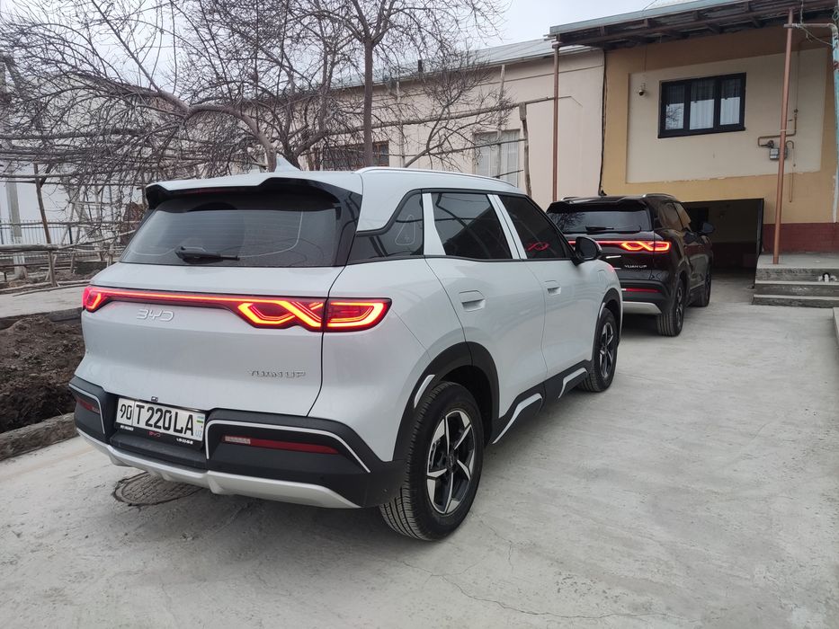 BYD Yuan Up full 2025
