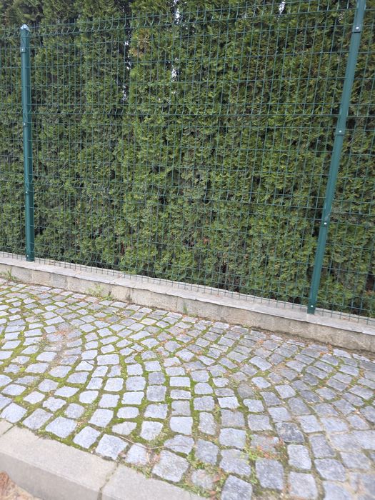 Цялостно изграждане на огради и фундамент с мрежа или метални пана