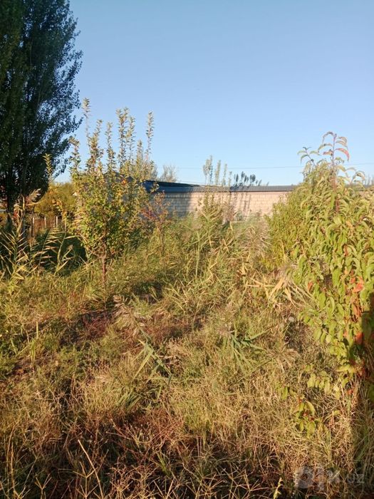 Quruq yer , meva daraxtla ri bor 6 -sotok