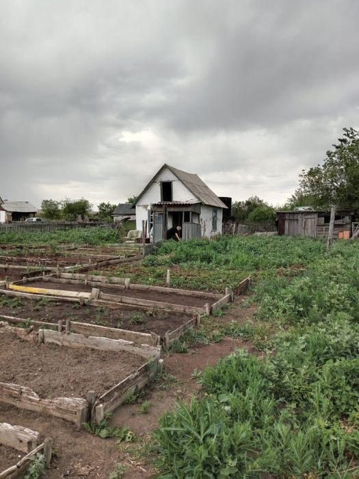 Продам дачу ПоК Оптимист Караганда