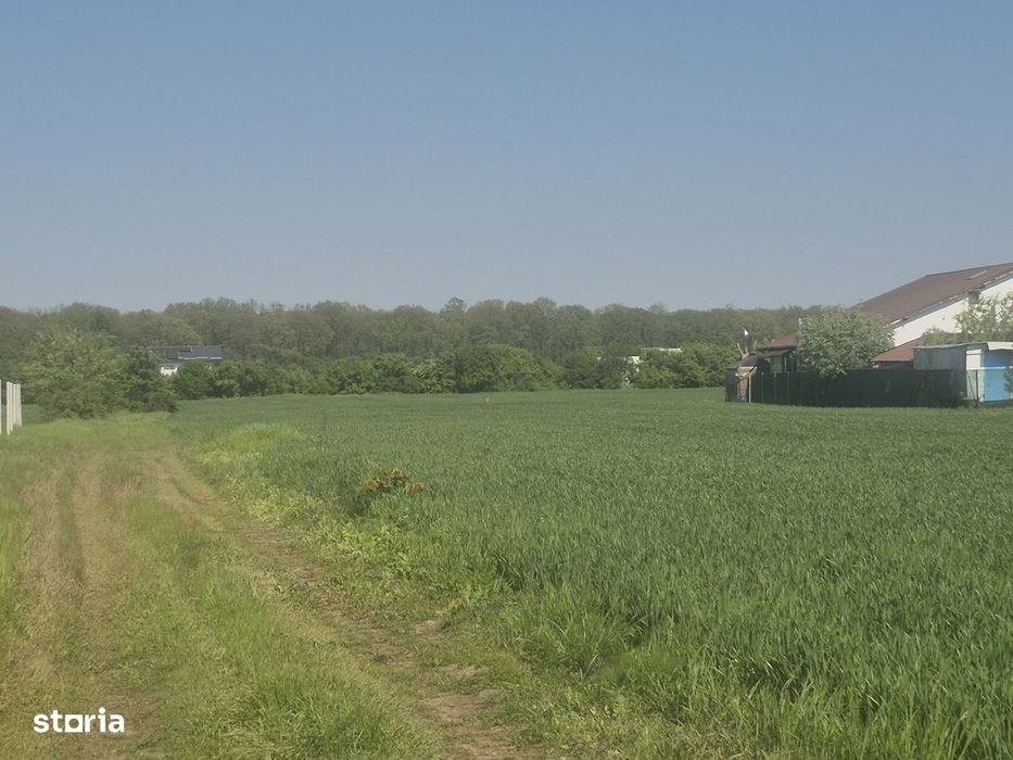 Teren ieftin langa padure si case noi in Balotesti, 36,5 euro/mp