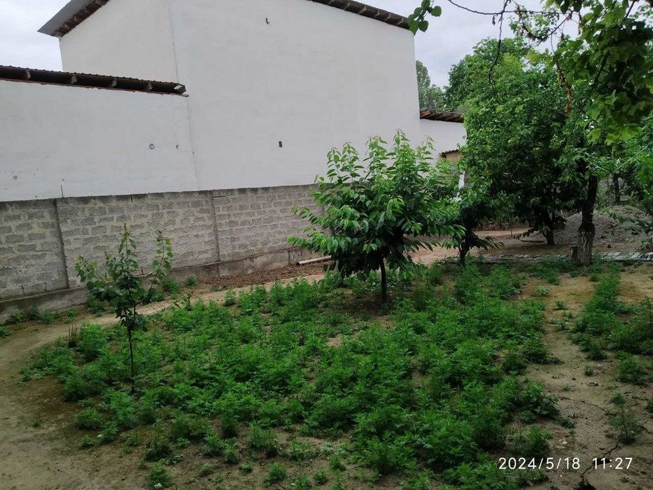 Эшонгузар ситида 3,15 сотих ер сотилади Мўлжал: Эшонгузар райцентр.