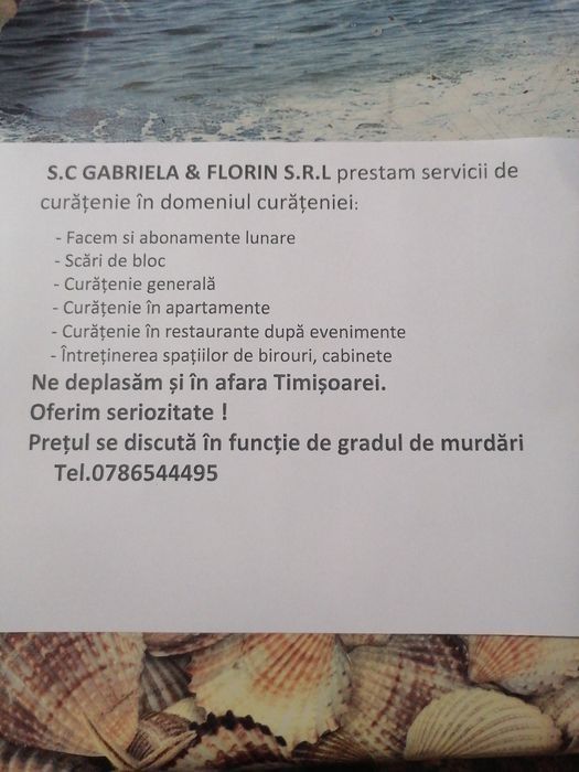 Firma de curățenie