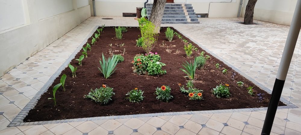 Садовник благоустройство ландшафт богбон газон посадка арча ёлка стрич