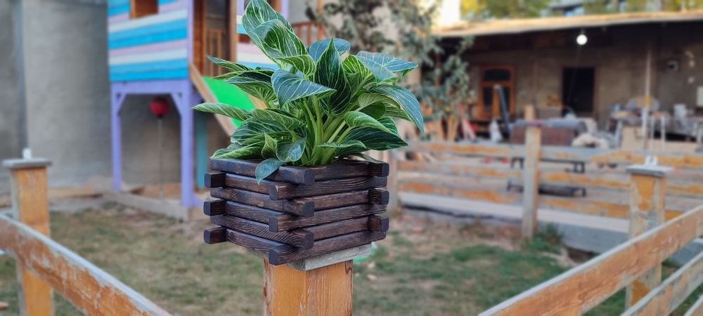 Кашпо и подставки для цветов