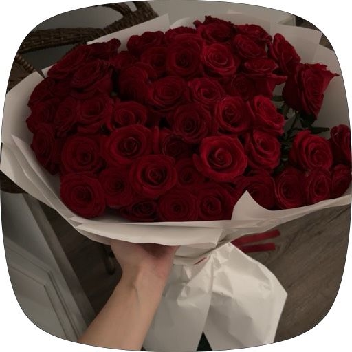 51 роза метровая свежая