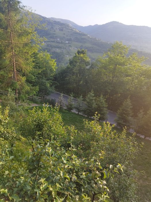 Cabana la munte, relaxare si liniste deplina!