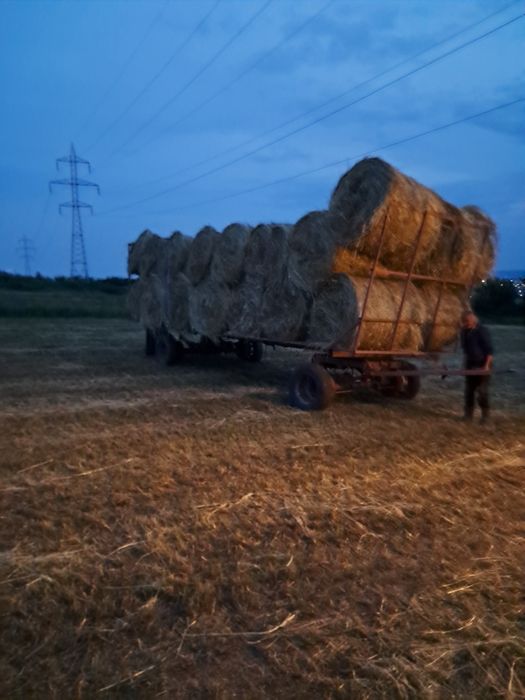 Baloti  lucerna de vânzare
