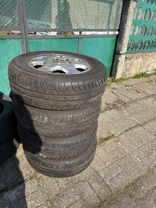 Голямо Разнообразие от Гуми!