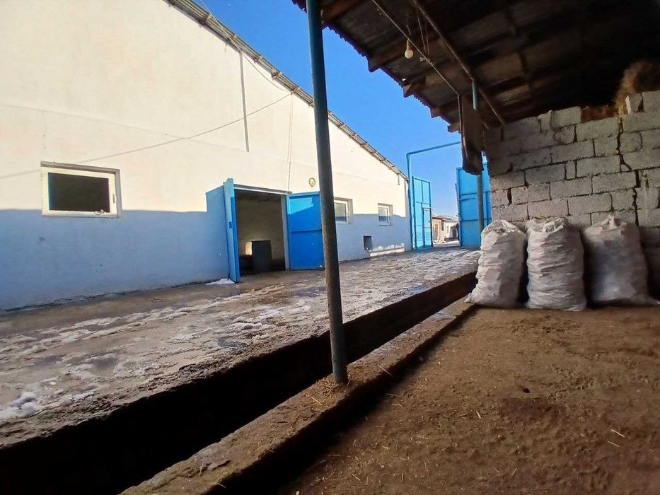 Продажа готовый бизнес 20соток Аргин Кипчок