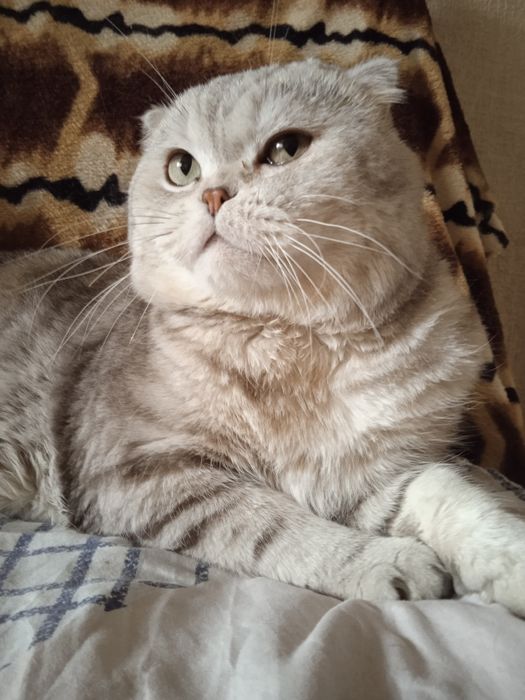 Серёжа желает познакомиться)