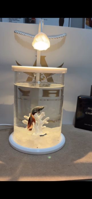 Аквариум + рибки + корм