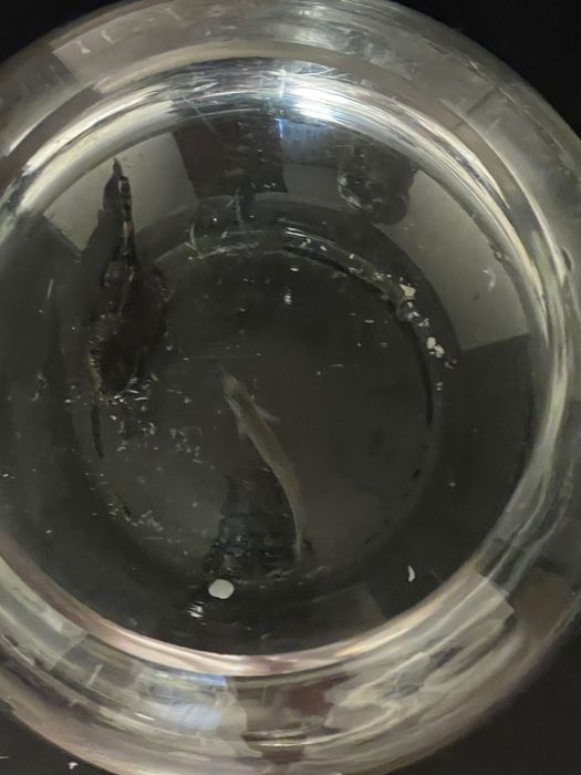 Аквариум 60 л,аквариум 5 л,филтър украса