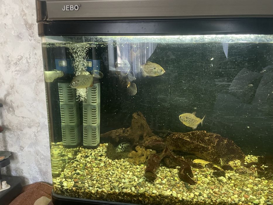 Продам аквариум Jebo 300л