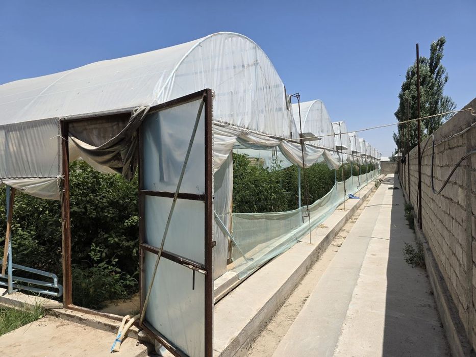 Parnik sotiladi 25 sotix