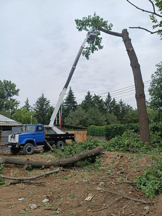 Услуги автовышки телескоп кобра