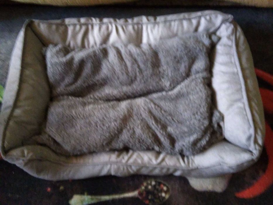 Дрешки и аксесоари за малко куче