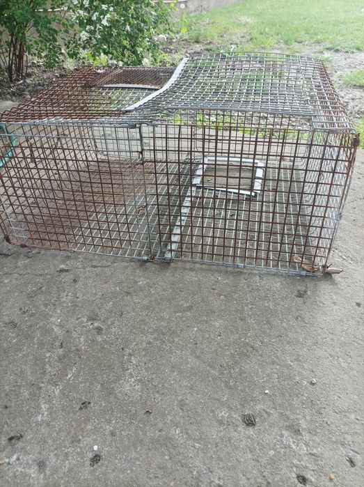 cuști pentru pasari