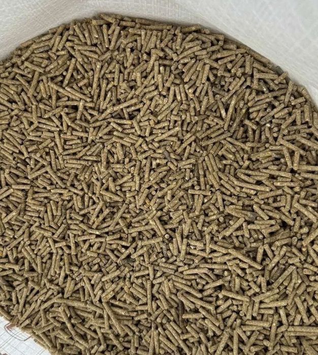 Furaje profesionale si cereale