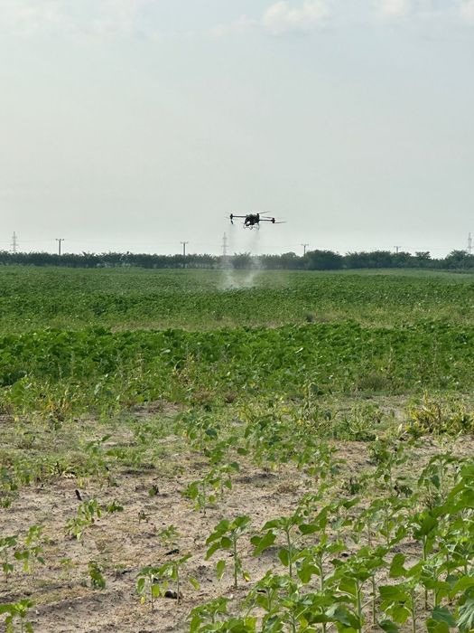 Prestez tratamente fitosanitare cu drona dji agras t50